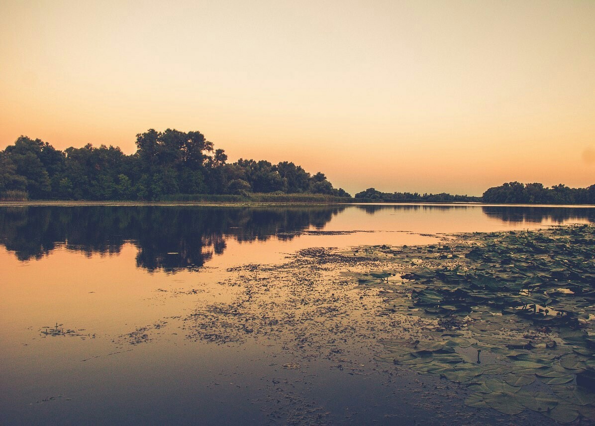 Plavni Khortitsa - My, Landscape, The photo, Khortytsia, Sunset