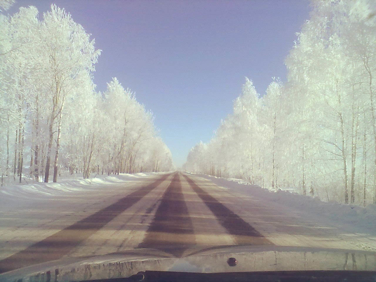 Белый путь. | Пикабу