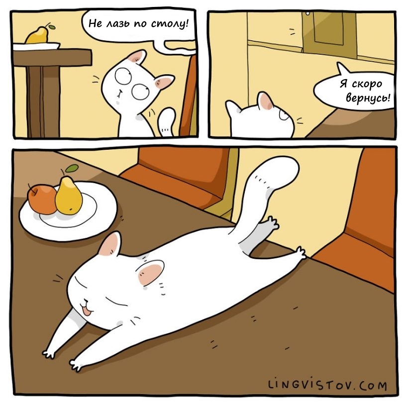 Typical life with a cat part 2 - cat, Comics, Milota, Vital, Translated by myself, Longpost