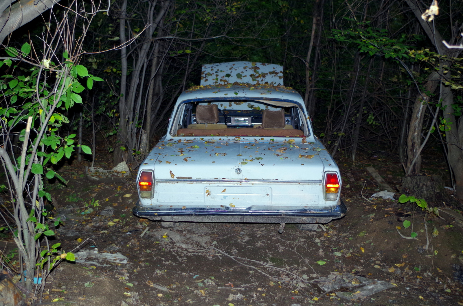 ВАЗ машина в лесу Московская область