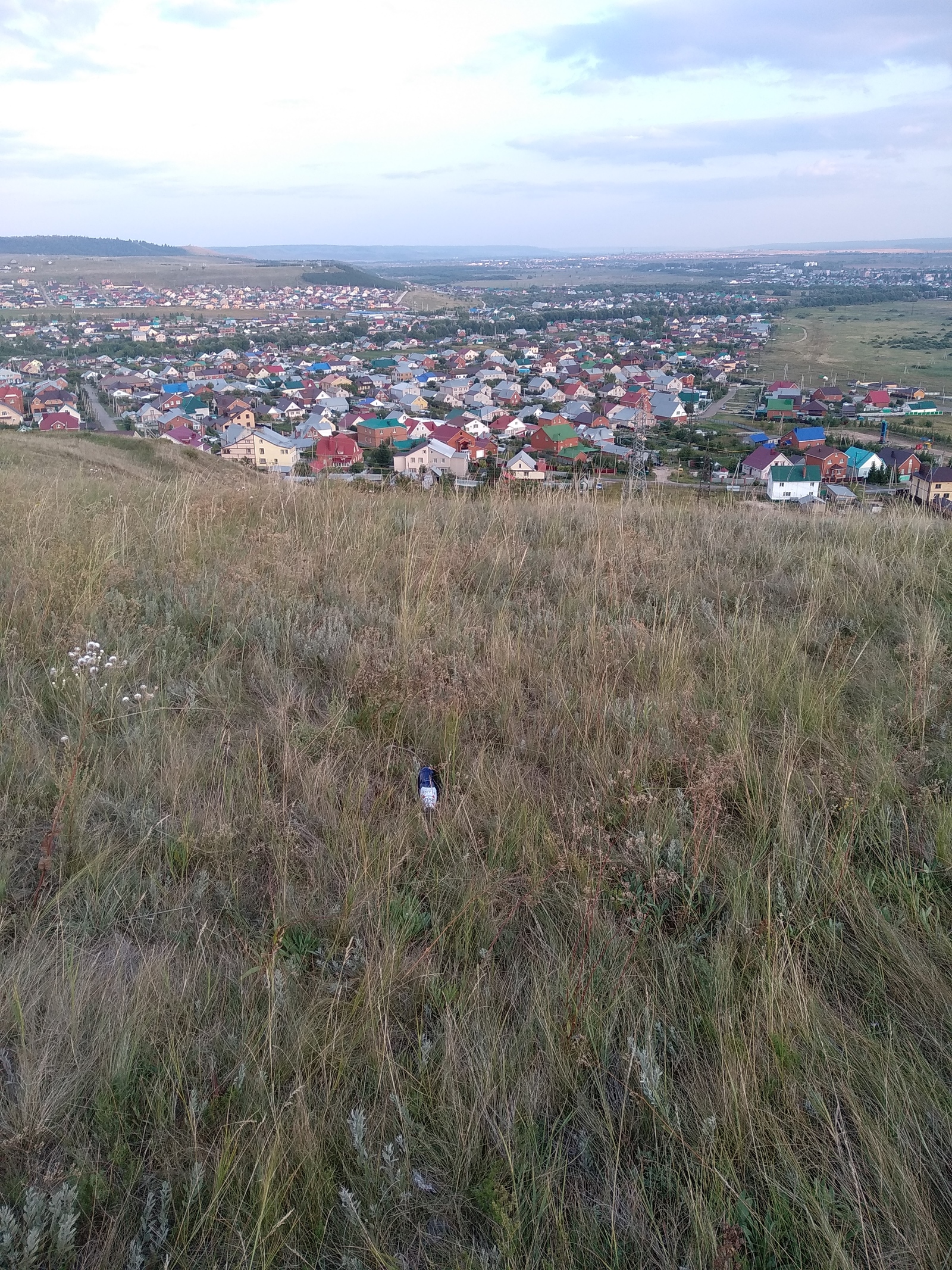 Chistomen: Return in Almetyevsk - My, Longpost, Chistoman, Almetyevsk, Garbage, Nature, No rating