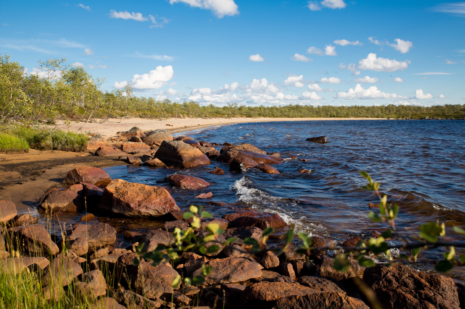 A little bit of the north is in your feed - My, North, Nature, Murmansk, Video, Longpost, Mushrooms, Berries