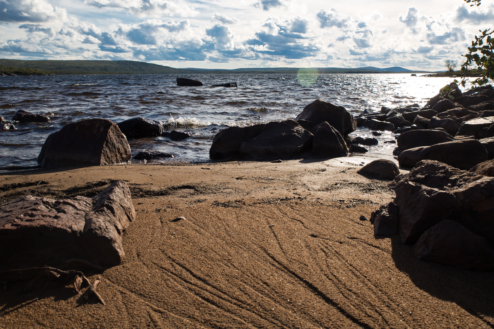 A little bit of the north is in your feed - My, North, Nature, Murmansk, Video, Longpost, Mushrooms, Berries