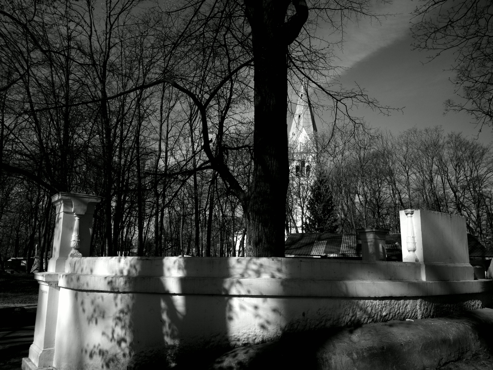 Central park Kaliningrad - My, Kaliningrad, Black and white photo, Church, The park, Architecture