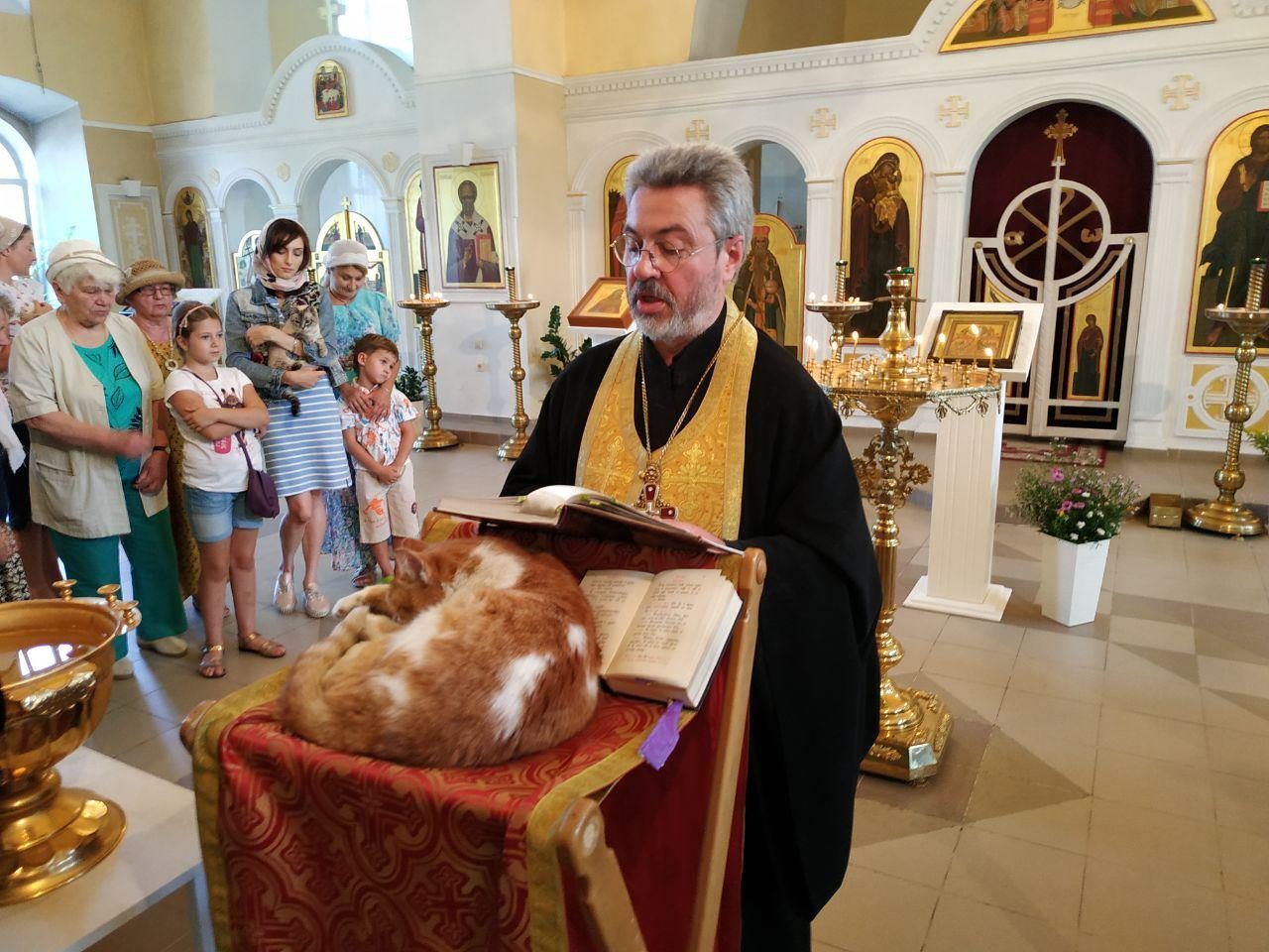 A prayer service for cats and dogs was held in the suburbs - cat, Prayer, Ilya Varlamov