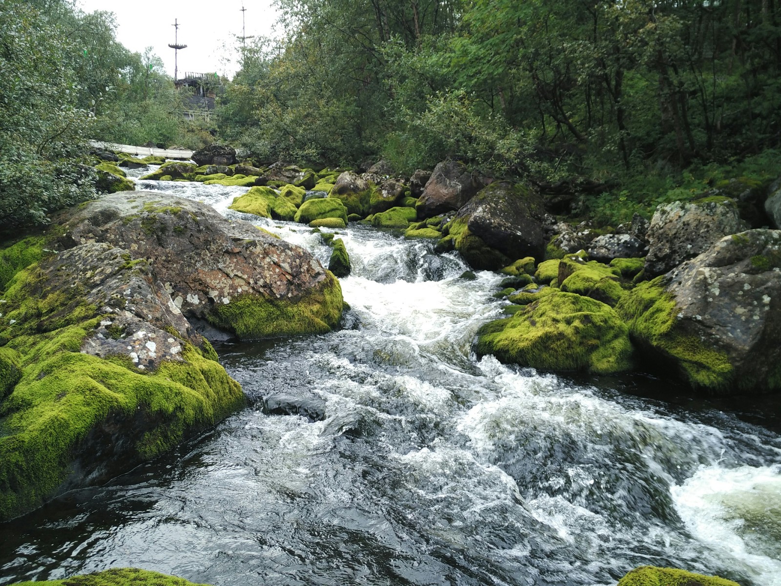 Ваенга река