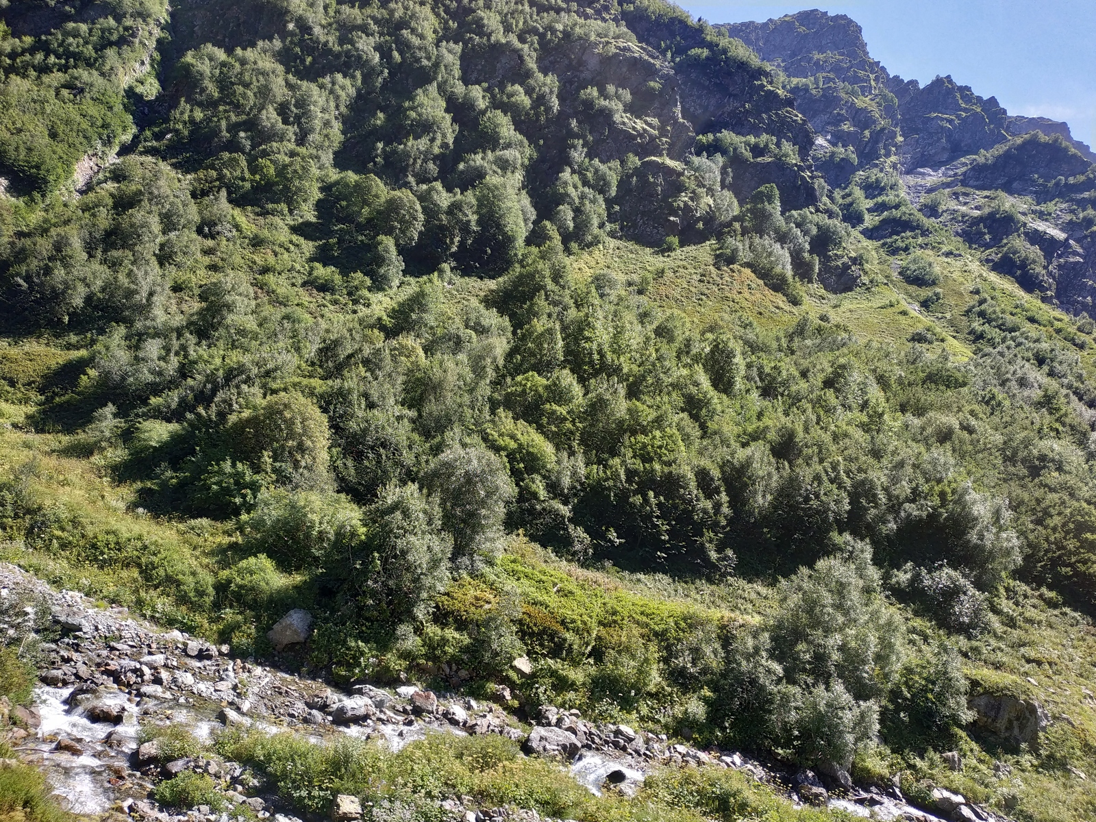 Mountains, North Caucasus, Rozhkao - My, , The mountains, Nature, Karachay-Cherkessia, Tourism, , Longpost