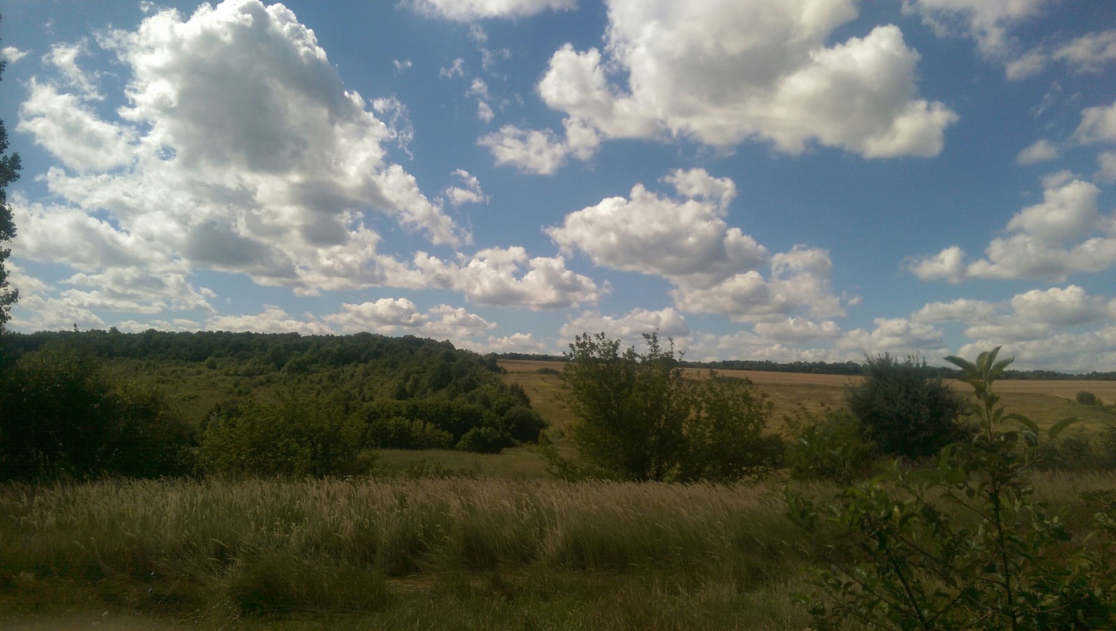 Летнее небо - Моё, Природа, Белгородская область, Красота природы