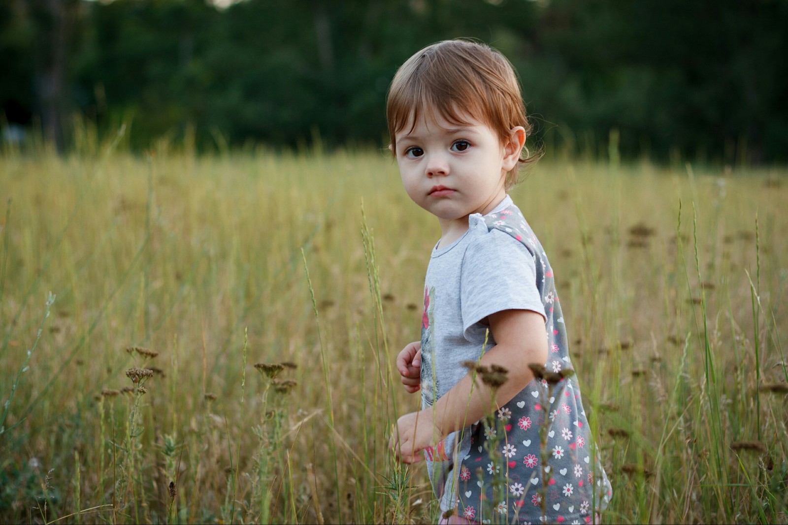 Need criticism - My, Beginning photographer, The photo, Longpost, Children