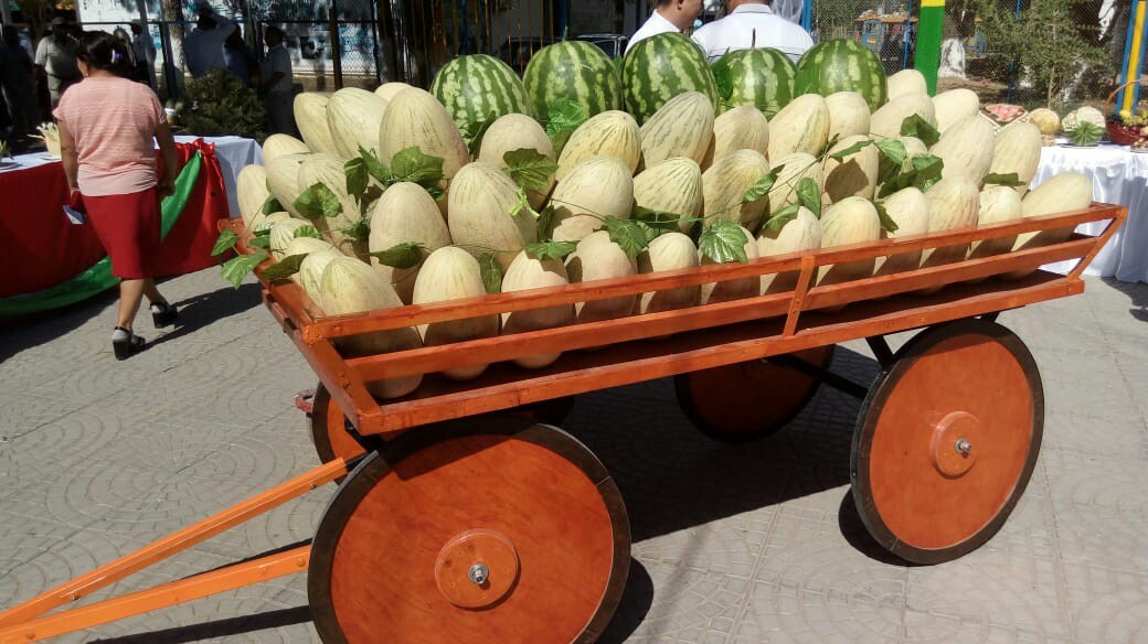 Melon Festival in Kazakhstan - Melon, Сельское хозяйство, Watermelon, Kazakhstan, Longpost