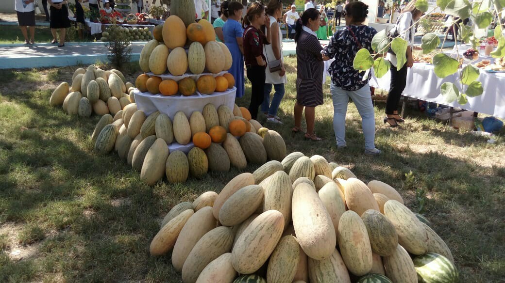 Melon Festival in Kazakhstan - Melon, Сельское хозяйство, Watermelon, Kazakhstan, Longpost