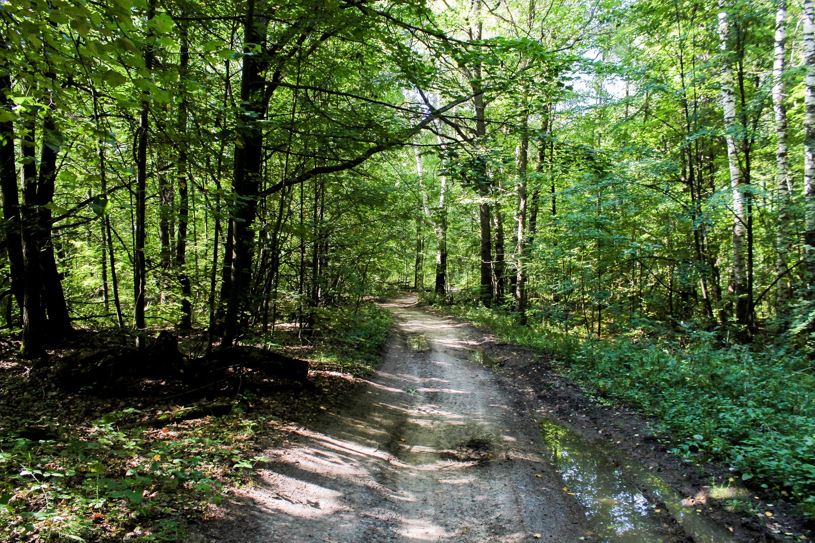 Bike ride - My, Longpost, Nature, The photo, Dzerzhinsk, Canon 1300d, Bike ride