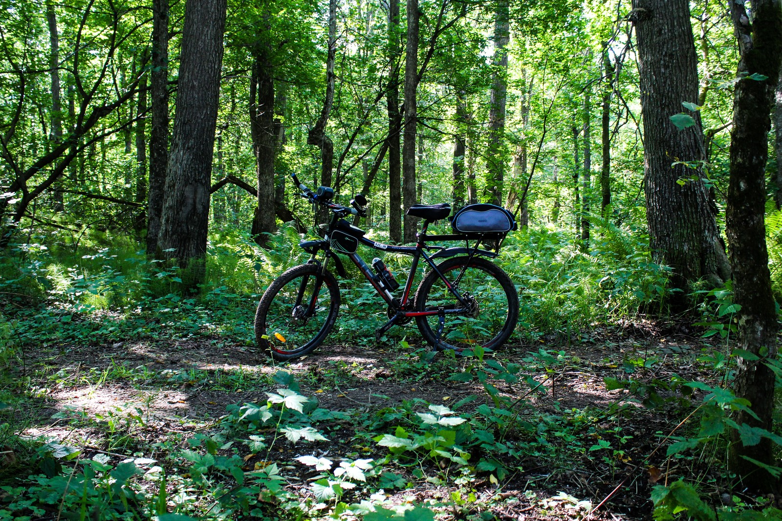 Bike ride - My, Longpost, Nature, The photo, Dzerzhinsk, Canon 1300d, Bike ride