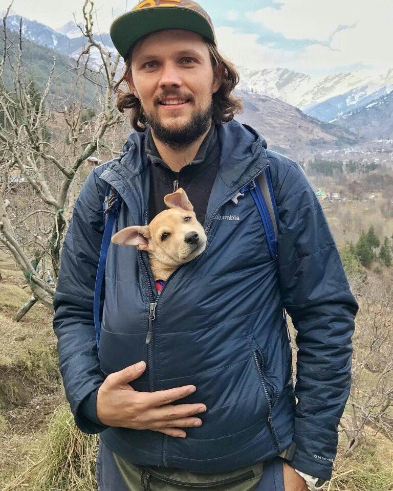 Travelers rescued a dying puppy from India and now he travels with them. - Travels, Dog, Dogs and people, India, Tourism, Interesting, Animals, The photo, Longpost