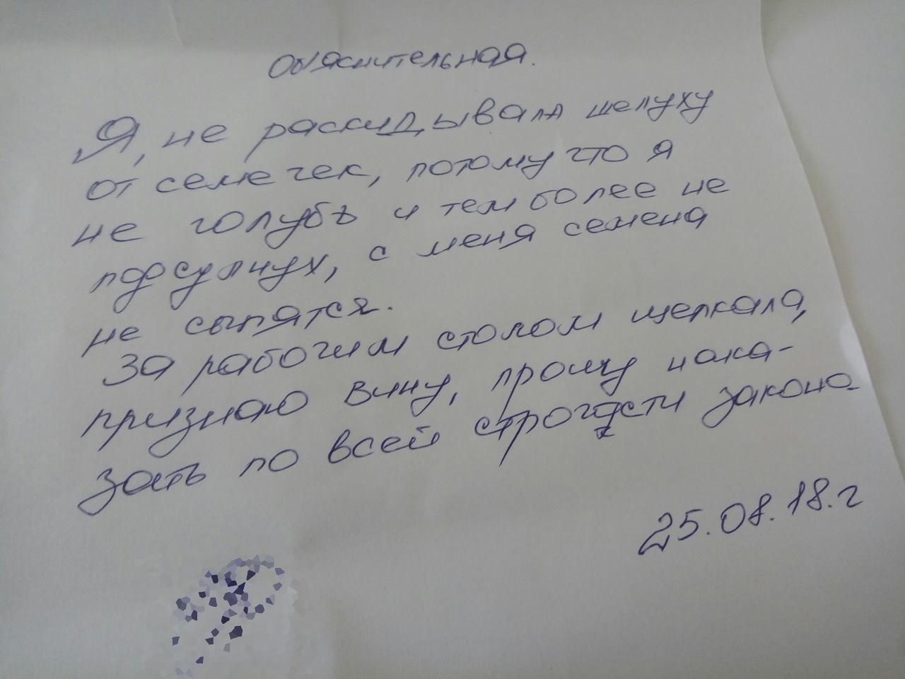 Шеф в командировке. Зам яро взялся за дисциплину. Нашел любителя семечек... - Моё, Объяснительная, Семечки