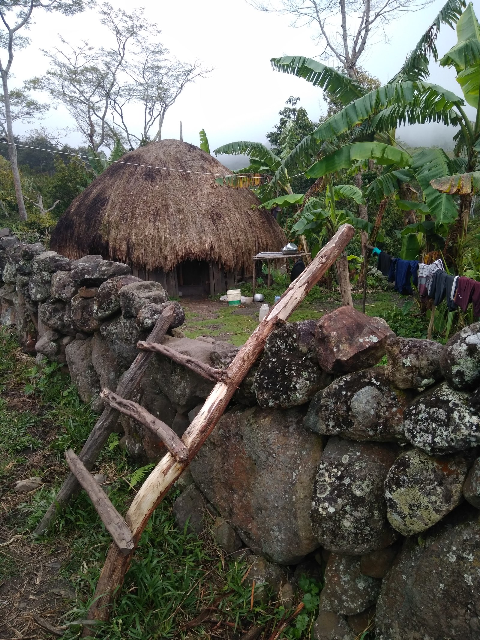 On a visit to the Papuans. Baliem Festival. - NSFW, My, Papuans, Papua New Guinea, Travels, Traveling in Asia, Longpost, The festival, 