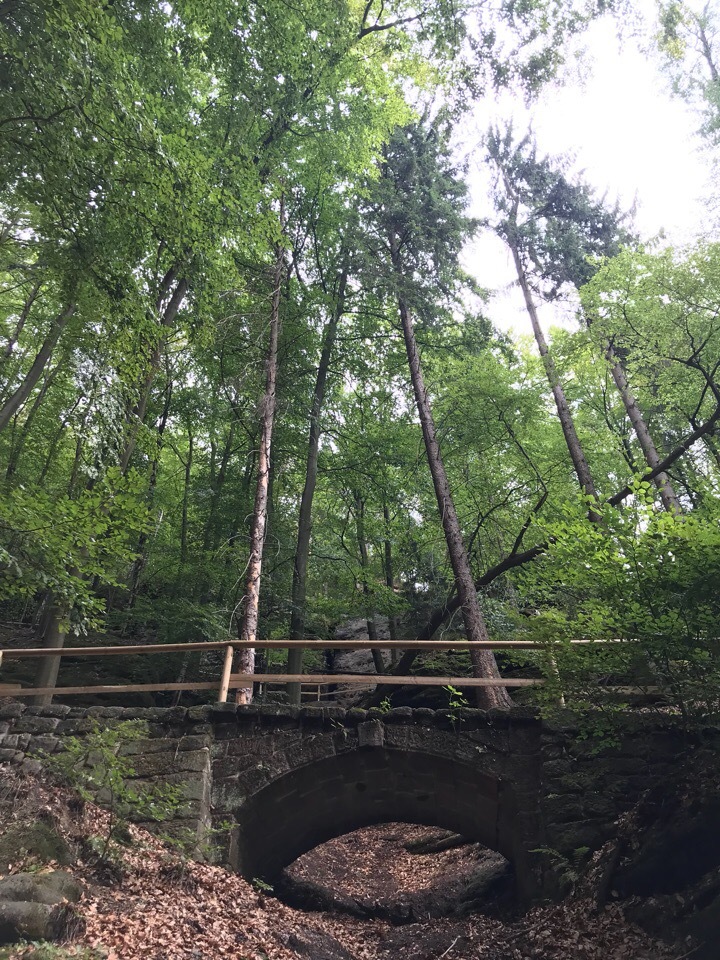 Czech Switzerland - My, Czech, Nature, The rocks, Longpost