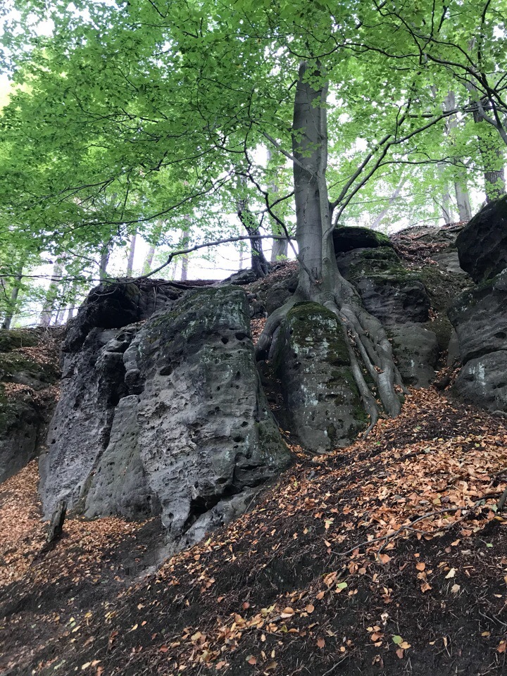 Czech Switzerland - My, Czech, Nature, The rocks, Longpost