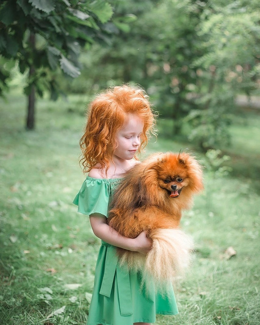 A little red sun in the ribbon. - My, Redheads, Photographer, Longpost, Dog, Children