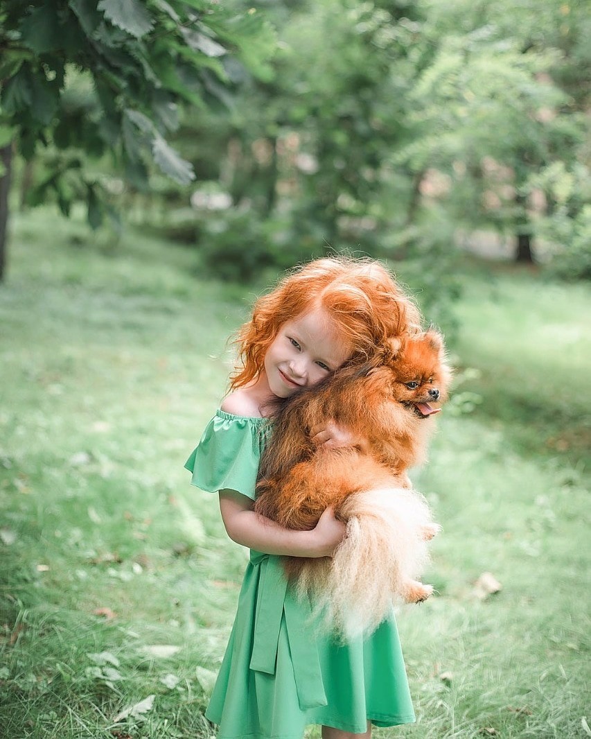 A little red sun in the ribbon. - My, Redheads, Photographer, Longpost, Dog, Children