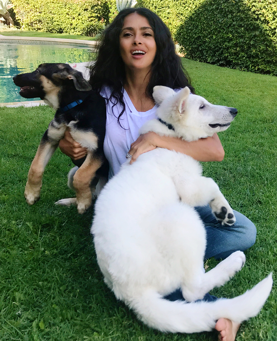 Salma Hayek with friends - Salma Hayek, Dogs and people, Longpost, Dog, Celebrities