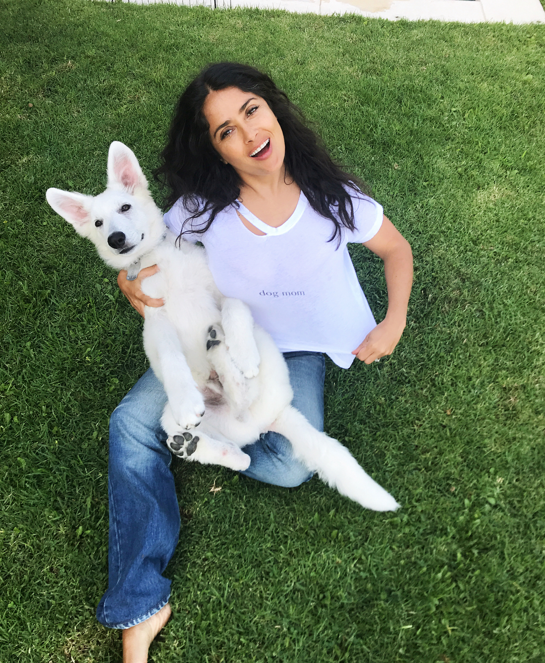 Salma Hayek with friends - Salma Hayek, Dogs and people, Longpost, Dog, Celebrities