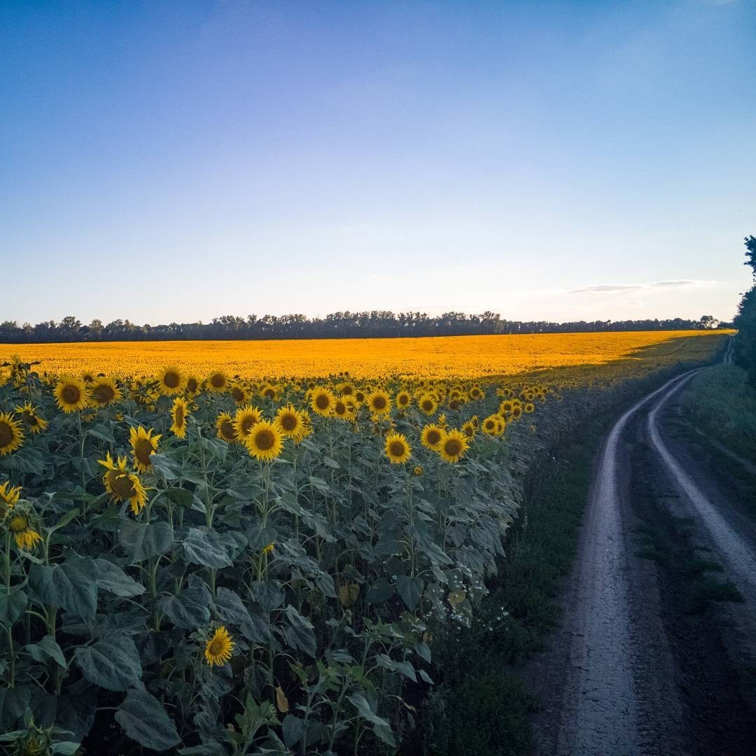 Test photos in raw - Summer, The photo, Lightroom, Longpost