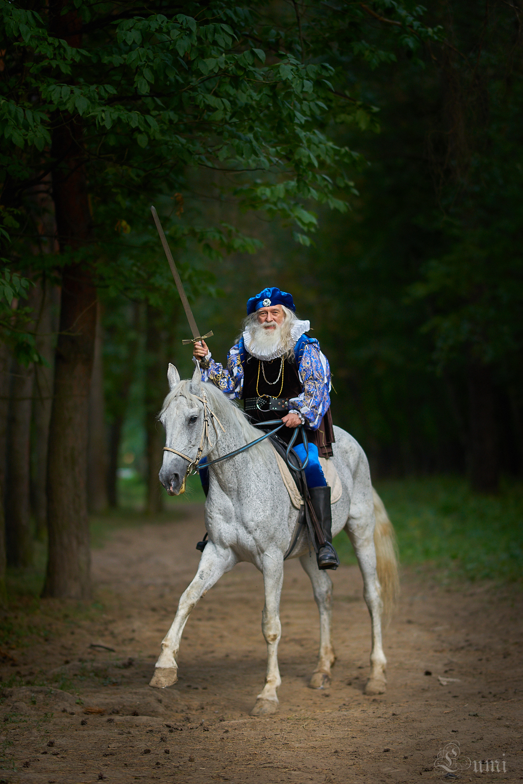 In the forest near Krasnogorsk. - My, Photo project, Magus, King, Horses, Longpost