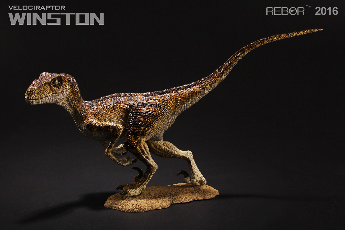 Dinosaurs REBOR - Dinosaurs, Toys, Tyrannosaurus, Velociraptor, Jurassic Park, Figurine, Longpost, Figurines