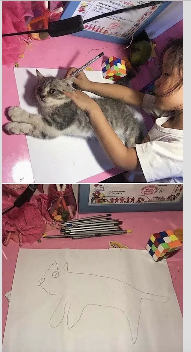 cat sitter - cat, Drawing, Humor, Children, Accordion