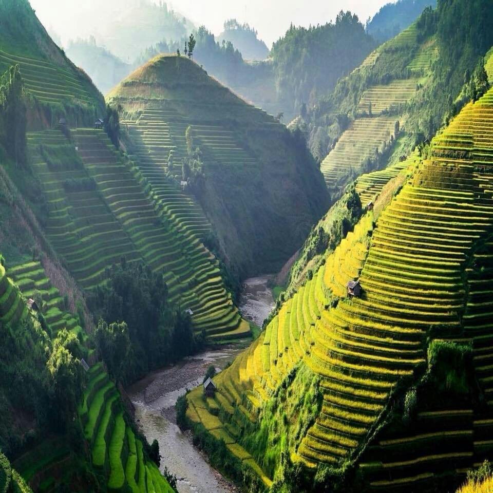 Rice terraces in Vietnam - Vietnam, Images, Rice, The mountains, River