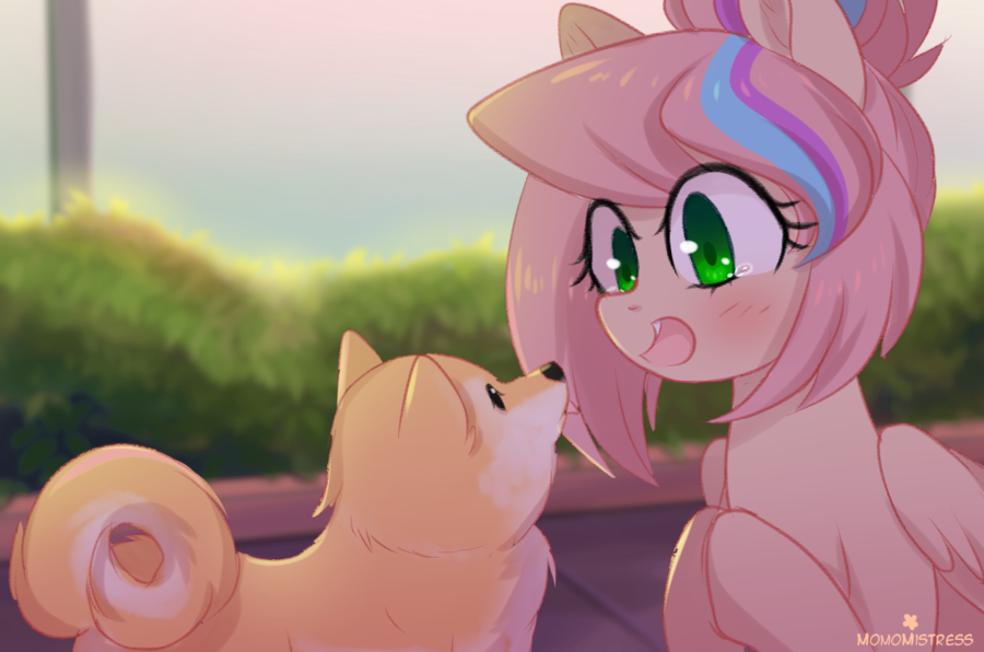 shiba - My little pony, PonyArt, Original character, Dog, 