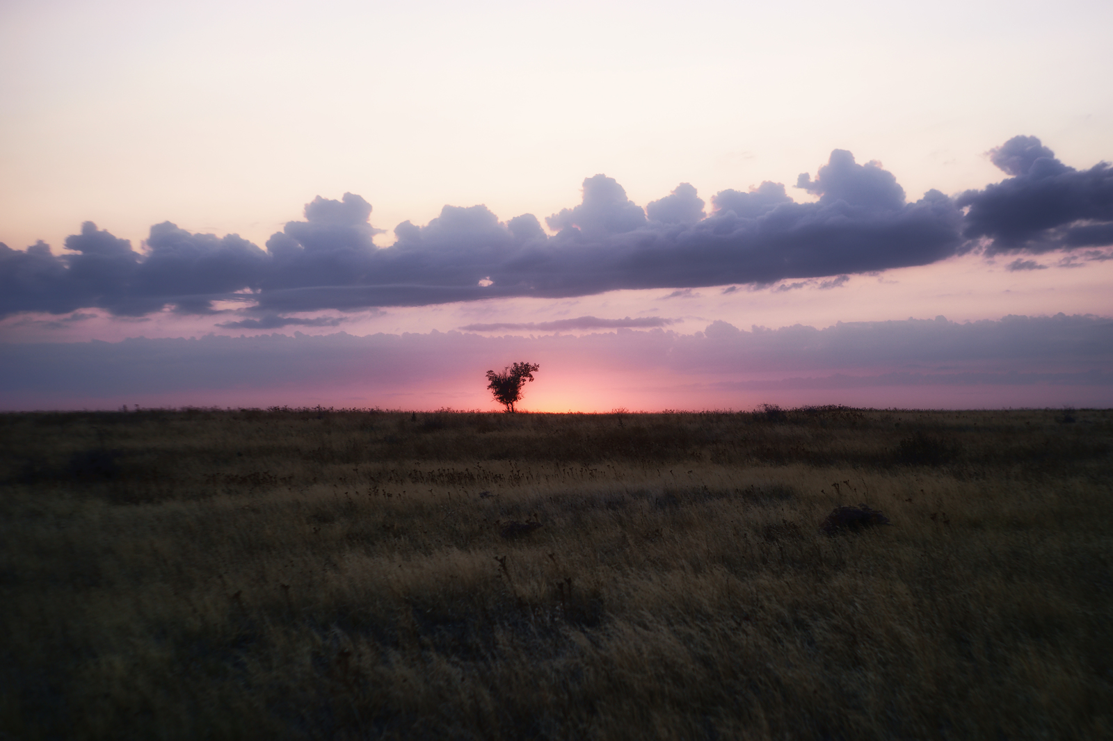 On the way to the General's Beaches - My, Azov sea, Steppe, Crimea, Sunset