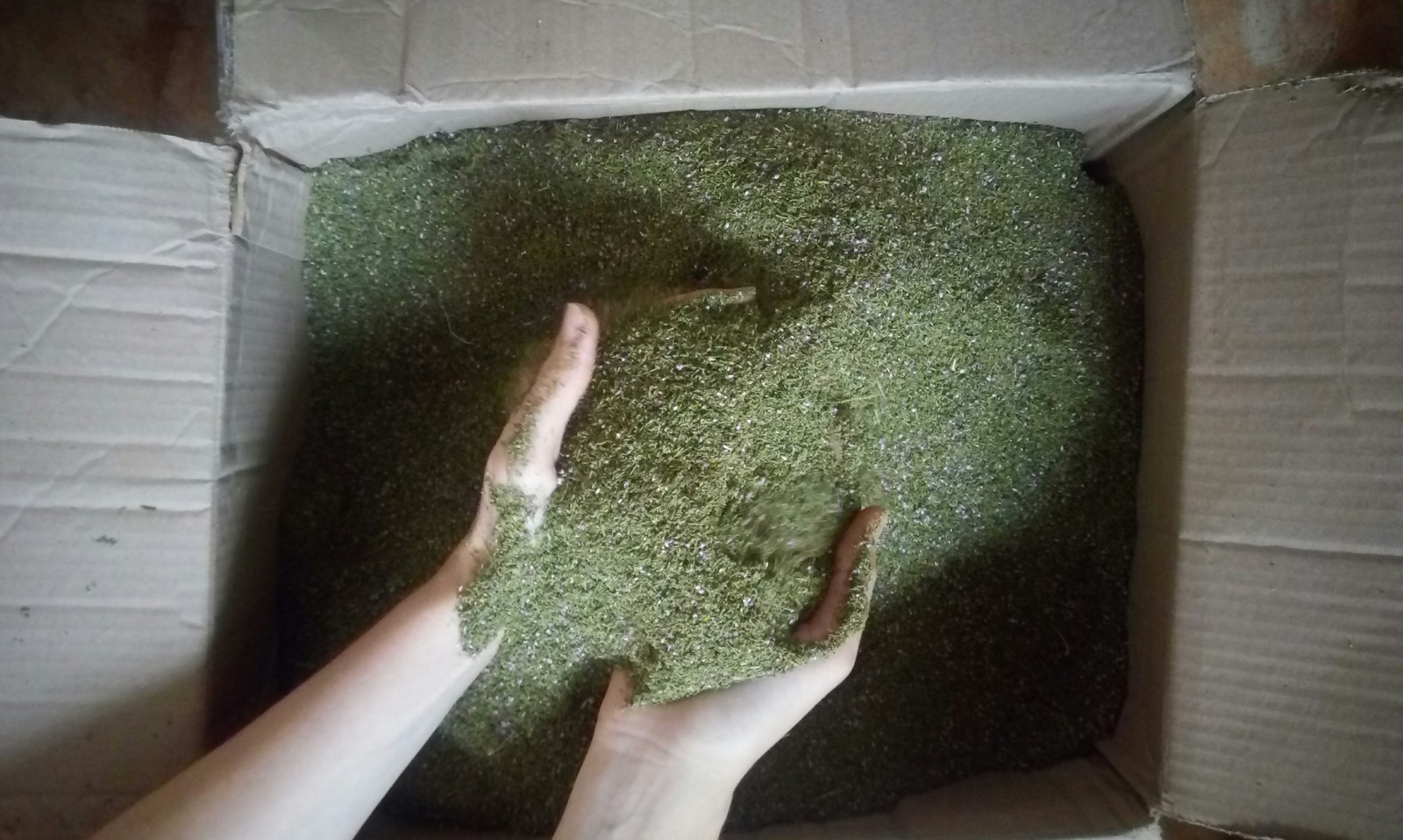 Suspicious but very beautiful filling of the box) - My, Package, Box, Moss