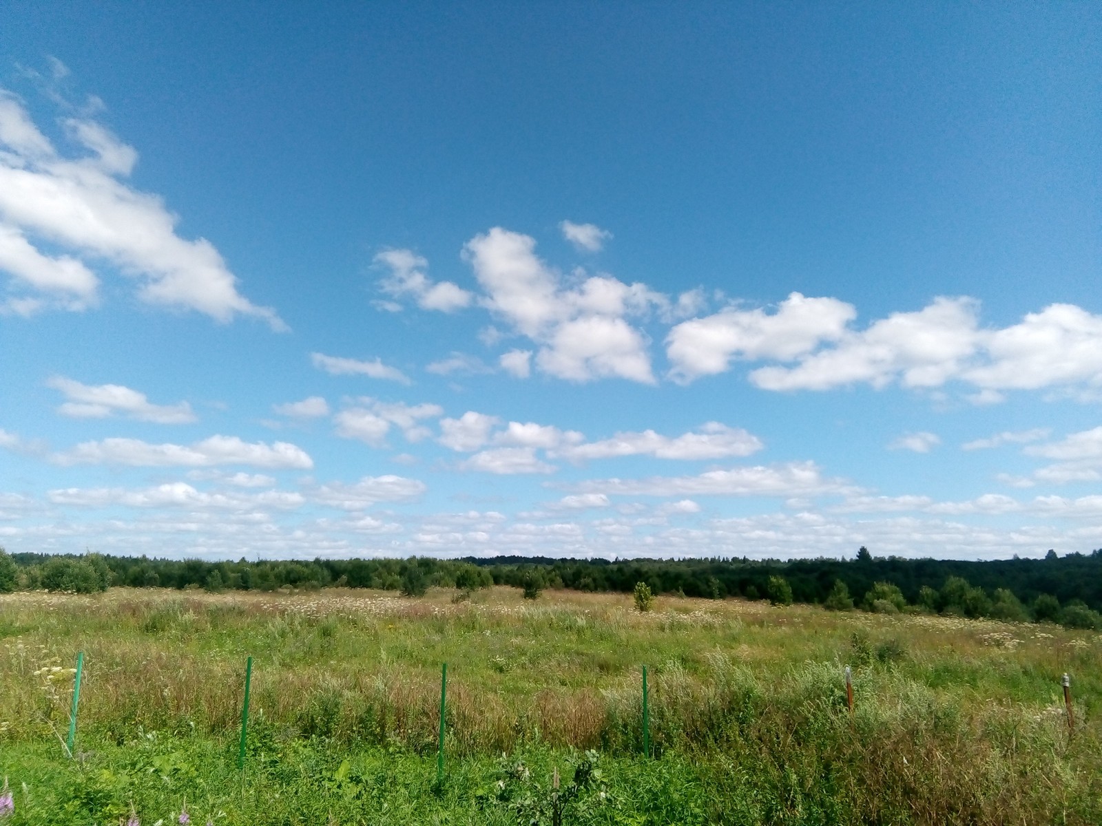 Summer in the countryside - Summer, Village, Russia, Childhood, Nostalgia, It was, Holidays, The sun, Longpost