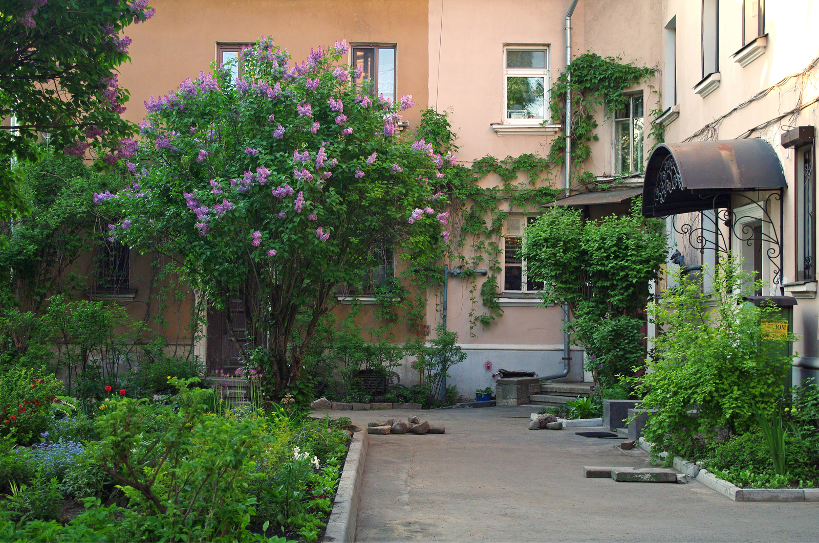 An area surrounded by greenery. - My, The photo, Saint Petersburg, Black River, Cityscapes, Courtyard, Evening, Summer, Cosiness, Longpost, Street photography