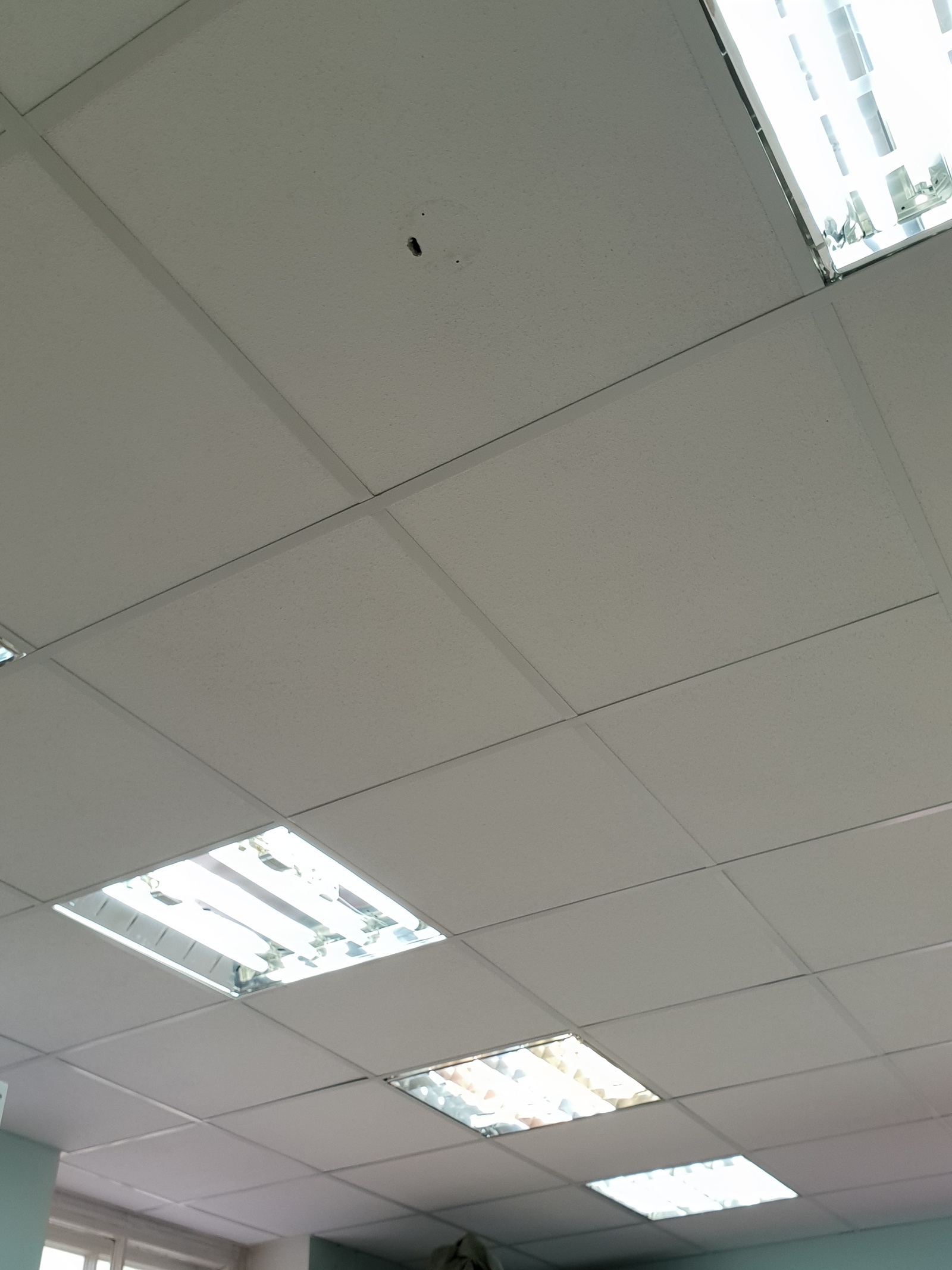 This office ceiling has seen some shit.. - My, Office, Smile, Humor, The photo, Longpost