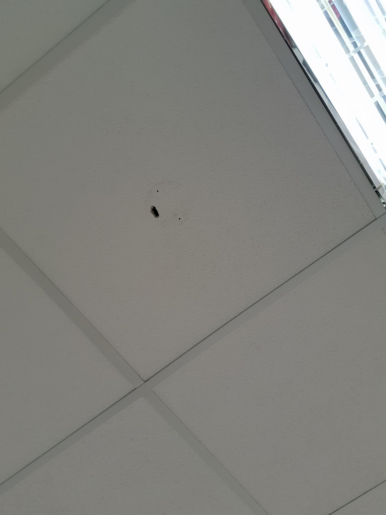 This office ceiling has seen some shit.. - My, Office, Smile, Humor, The photo, Longpost