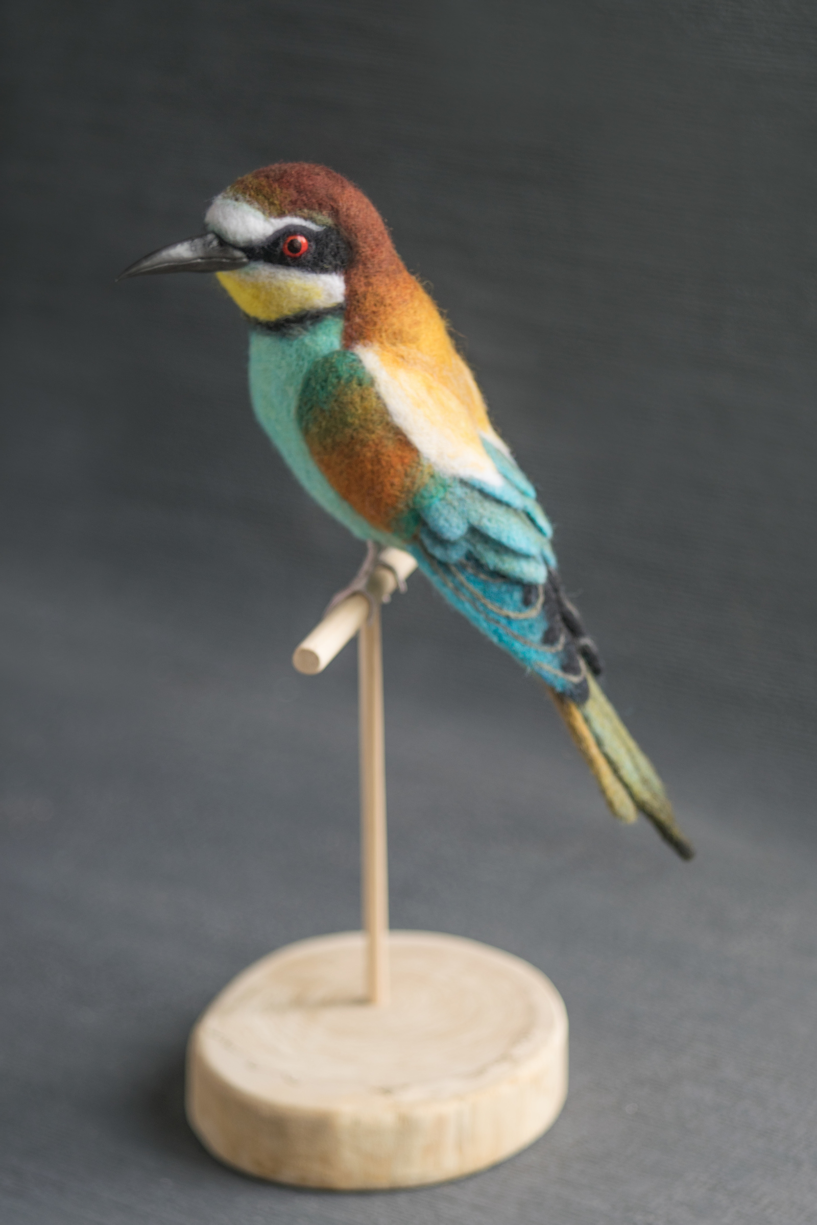 Felted bee-eater. With a brief description of the creation process - My, Needlework with process, Dry felting, Szczurka, , Wallow, Longpost