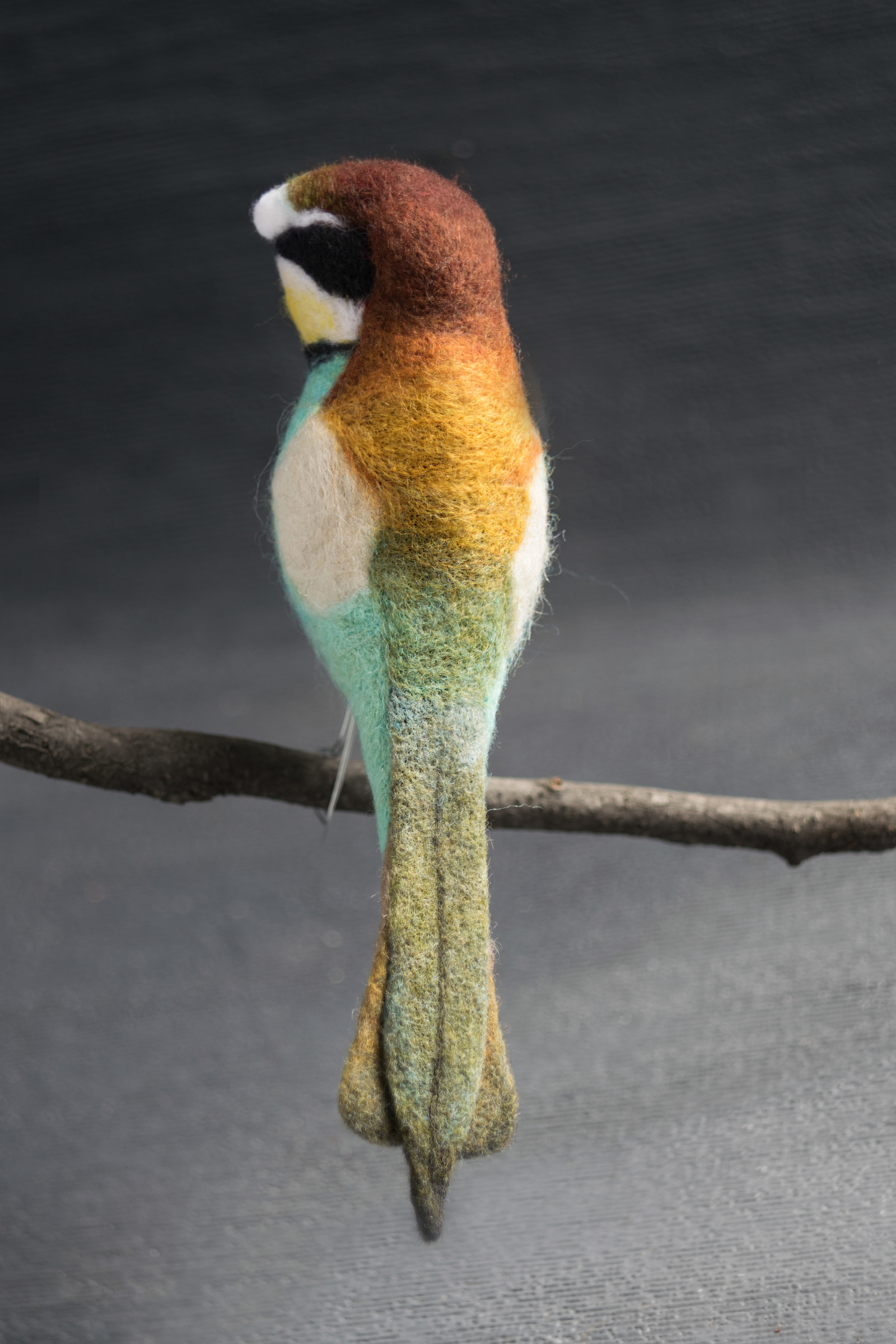 Felted bee-eater. With a brief description of the creation process - My, Needlework with process, Dry felting, Szczurka, , Wallow, Longpost