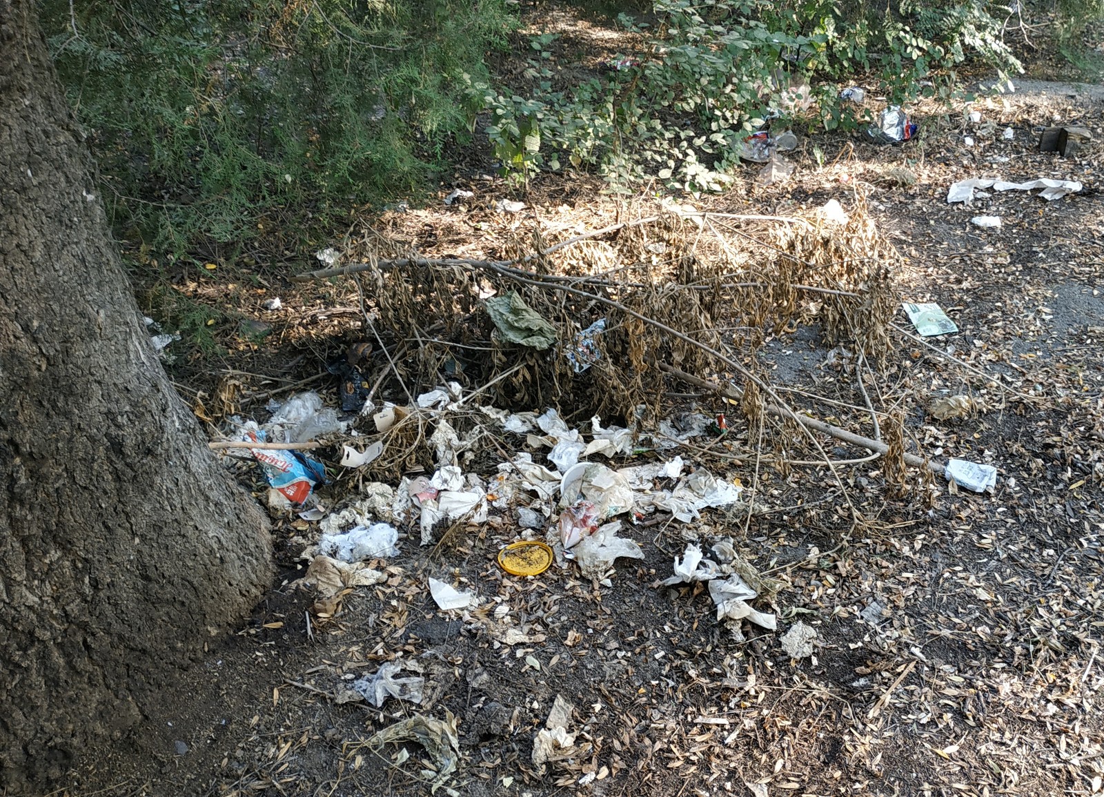 League of Chistomen in Odessa - My, Street cleaning, Dump, Garbage, Chistoman, Pure Man's League, Cleaning, Saturday clean-up, Longpost