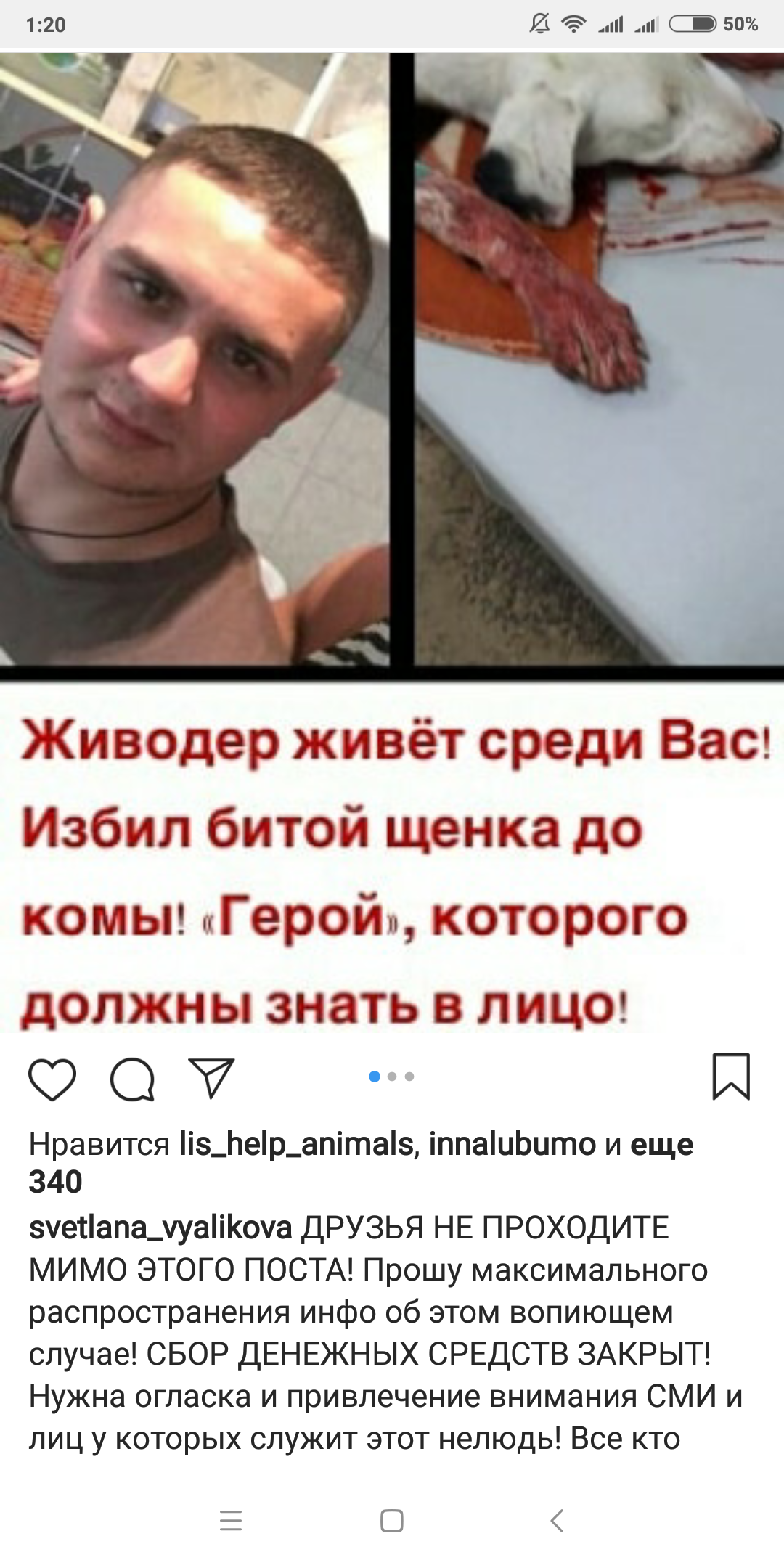 Ivan Subochev, a resident of the city of Aksai, beat a 7-month-old puppy half to death - Flailing, Animals, Incident, Dogs and people, Longpost