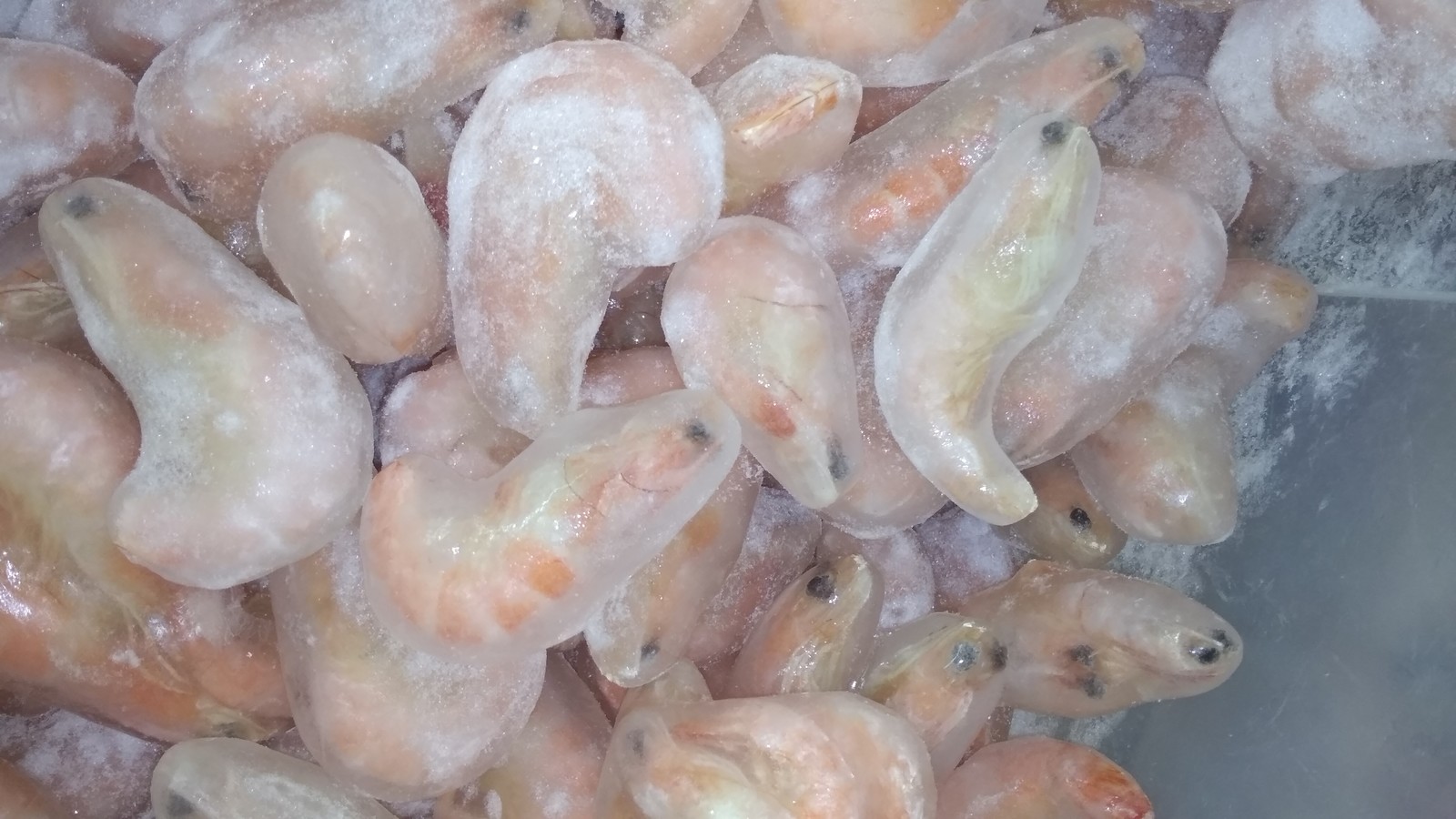 Do you want shrimp by weight? - Shrimps, Maxi, By weight, Divorce, Ice, Marketing, My, The photo