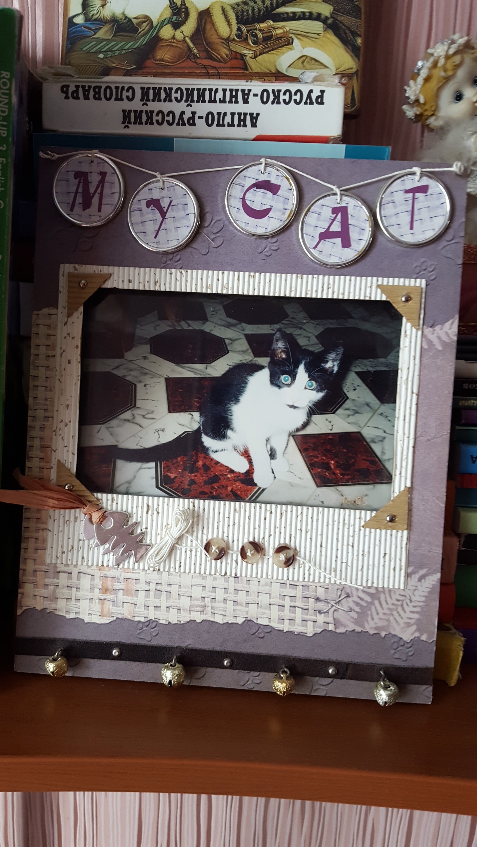 Musat - cat, Photo Frame, Names