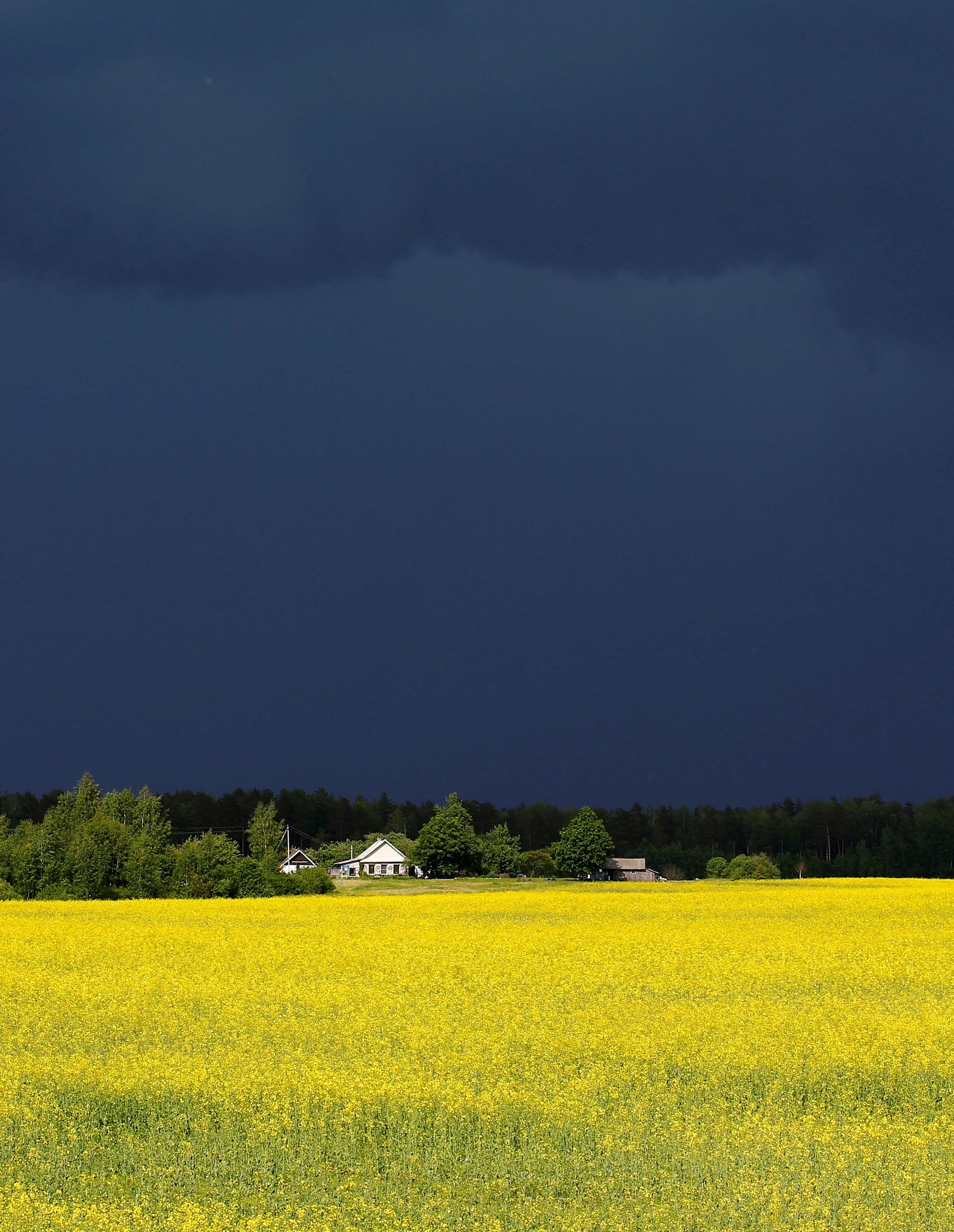 Before the storm - Weather, The clouds, Rain, The photo, Field, Thunderstorm, Sky