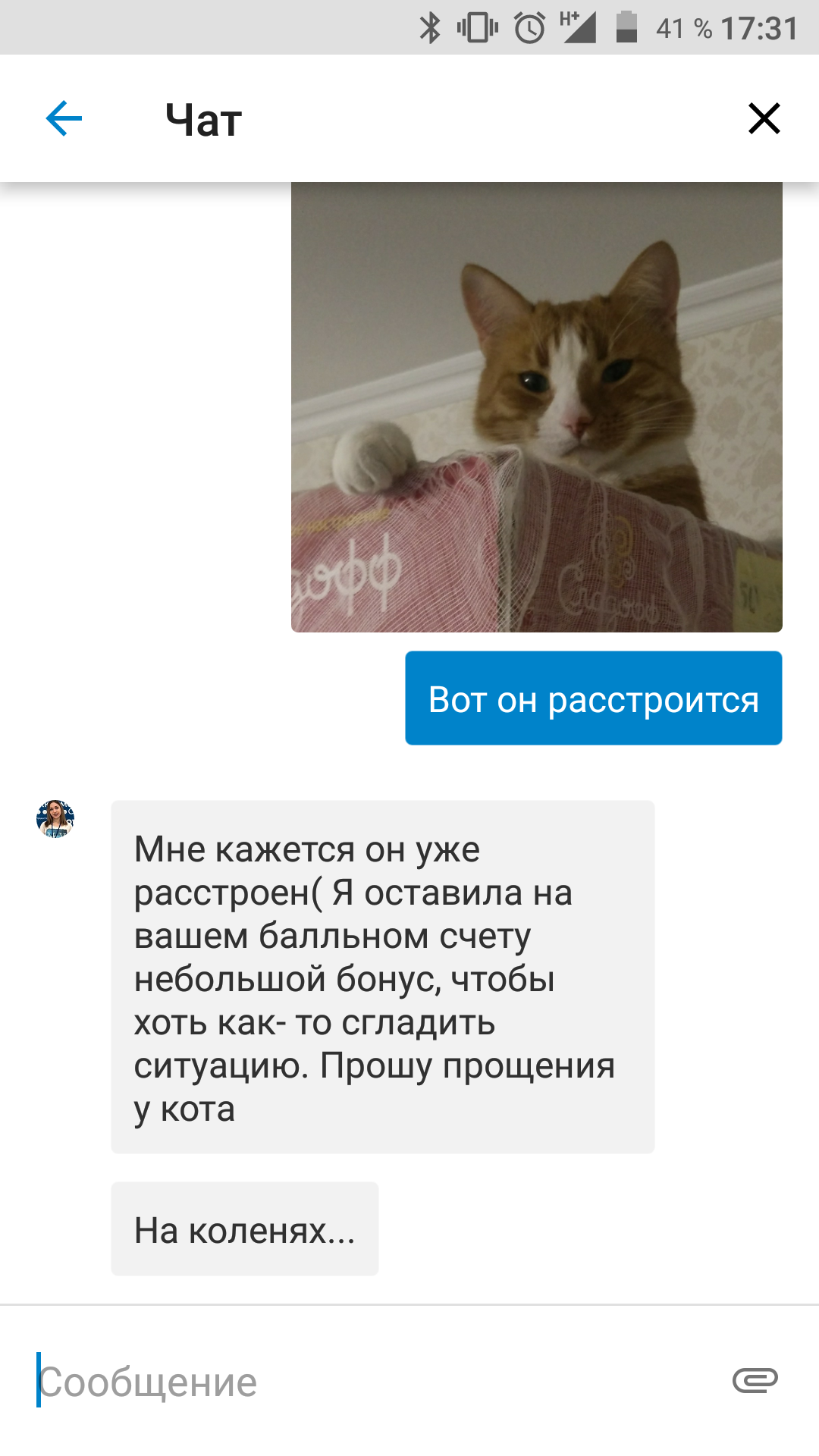 Техподдержка Озона и кот - Моё, Служба поддержки, Кот, Длиннопост