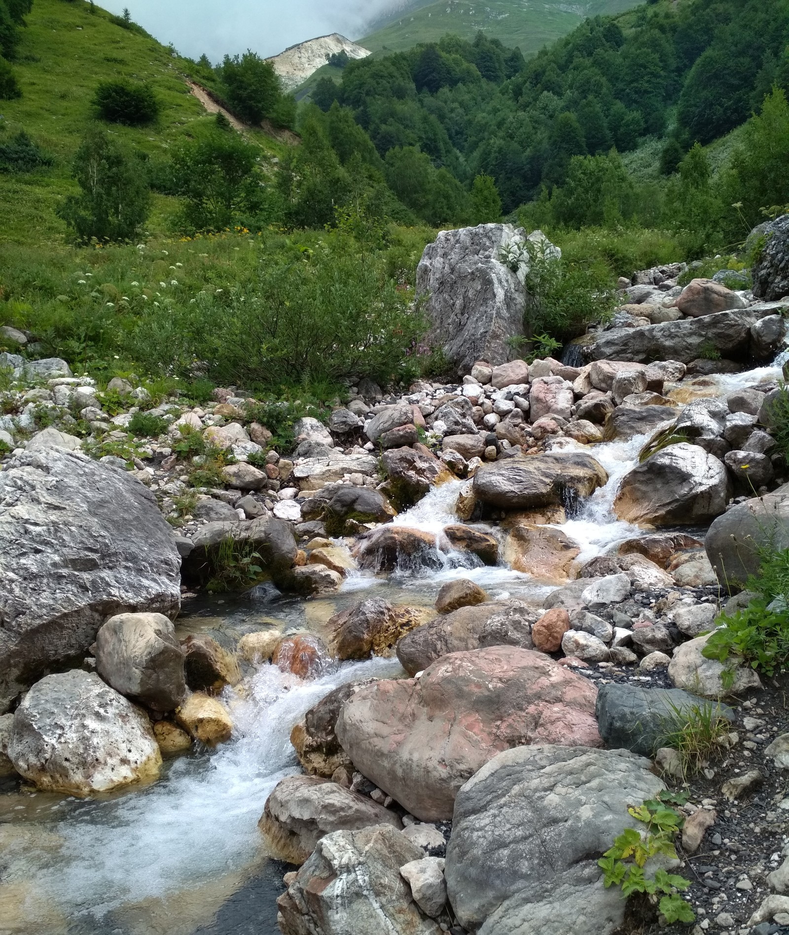 Caucasian Natural Biosphere Reserve - My, Nature, , Tourism, Longpost, Lago-Naki plateau