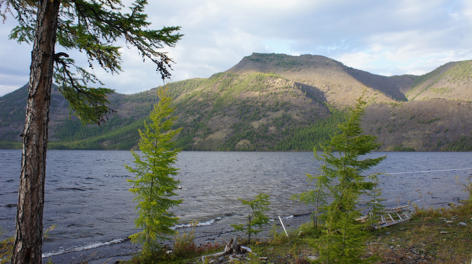 Fishing in Oymyakonya - My, Fishing, Oymyakon, Lake, Loach, Grayling, Track, Preserve, Longpost, Reserves and sanctuaries