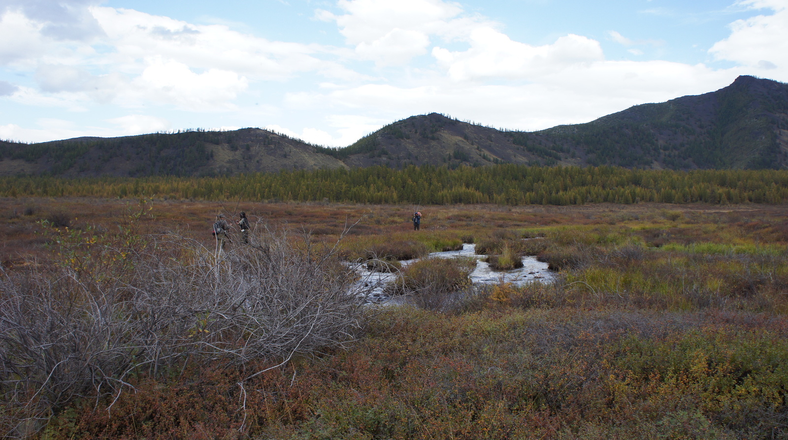 Fishing in Oymyakonya - My, Fishing, Oymyakon, Lake, Loach, Grayling, Track, Preserve, Longpost, Reserves and sanctuaries