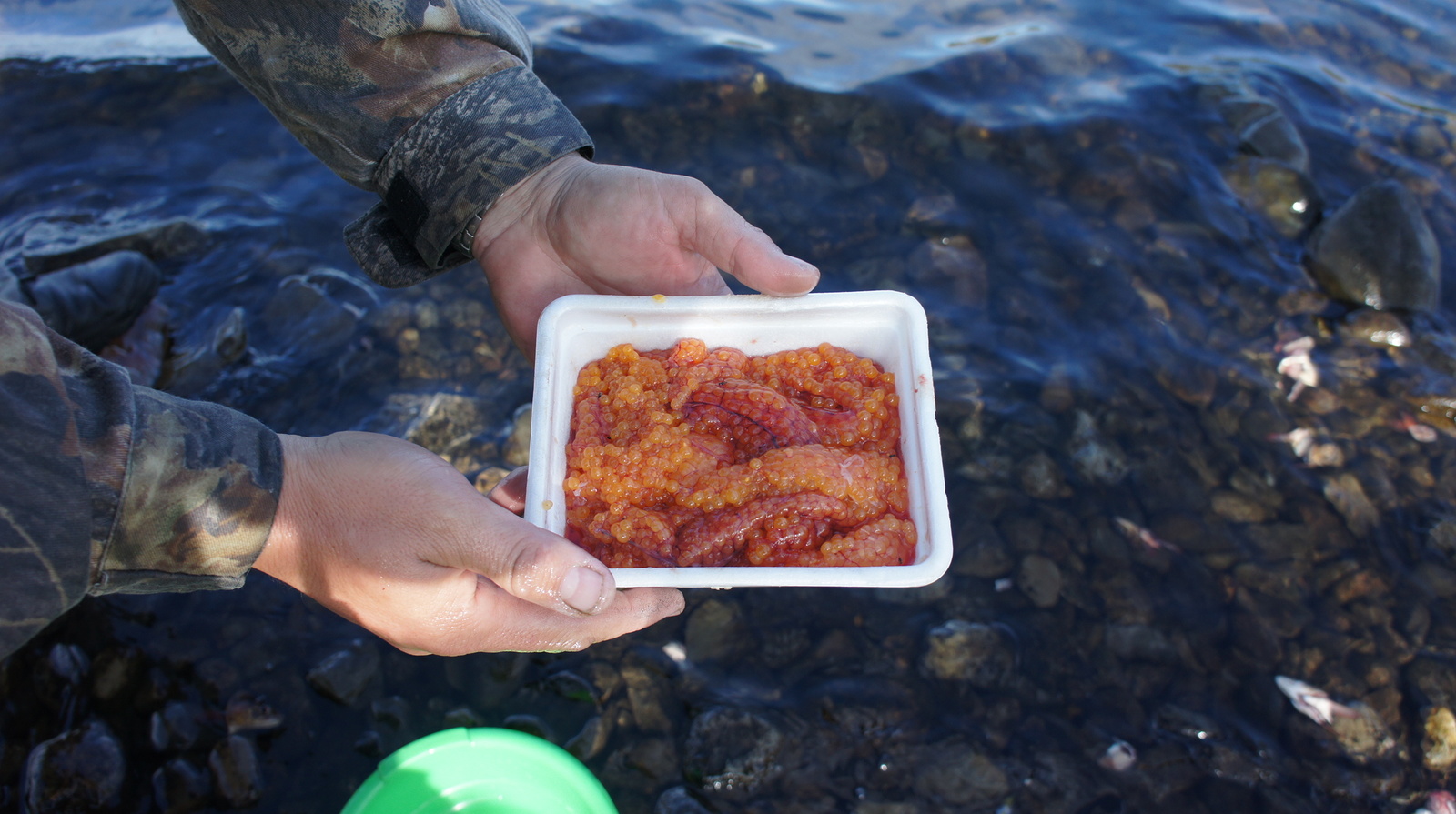 Fishing in Oymyakonya - My, Fishing, Oymyakon, Lake, Loach, Grayling, Track, Preserve, Longpost, Reserves and sanctuaries